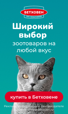 Media_266943