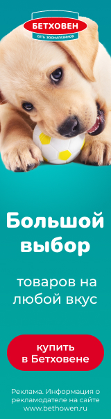 Media_266946